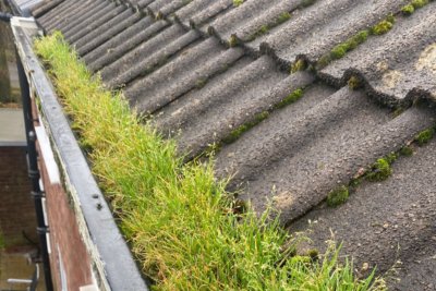 office removals in progress