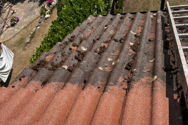 office removals in progress