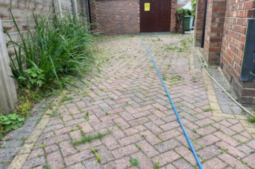 driveway weeds